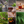 Load image into Gallery viewer, I've Known Giants

